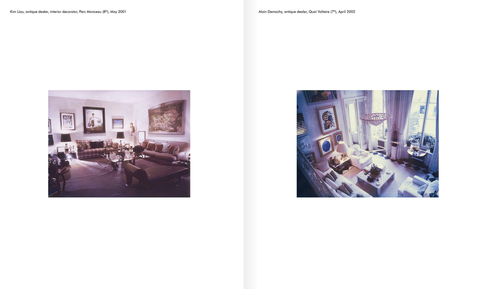 Paris Living Rooms - Dominique Nabokov